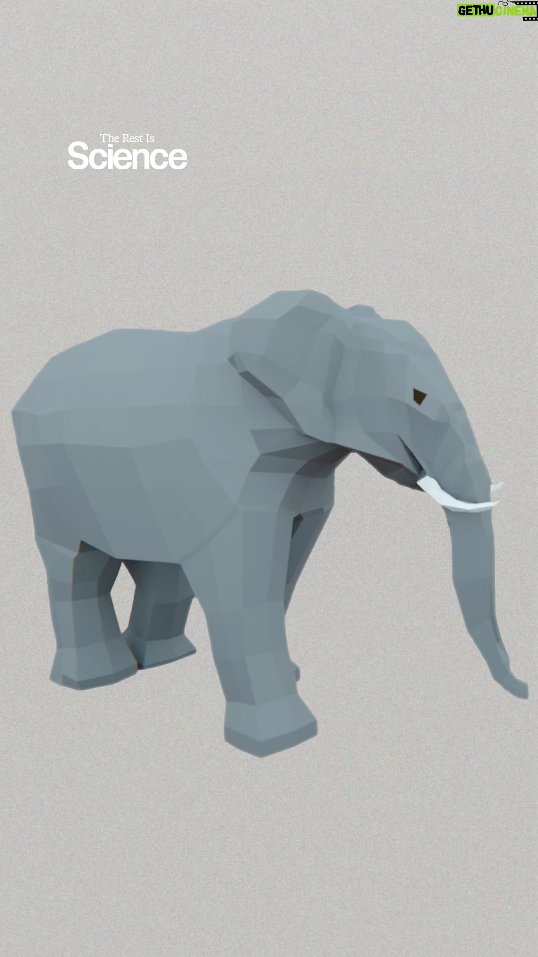 Hannah Fry - 129.5K Likes - Elephants, sadly in this case, never forget.