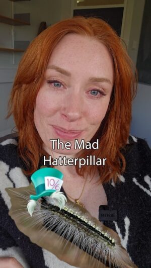 Hannah Fry Instagram - The fashion DIVA of the bug world 🎩

(and to pre-empt any entomologists that wish to "well, actually" me - I KNOW caterpillars are not true 'bugs.' But I also don't care)

Head capsule stacking by caterpillars: Morphology complements behaviour to provide a novel defence, by Petah A. Low, Clare Mcarthur, and Dieter Hochuli (2016)