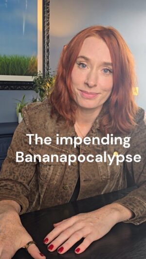 Hannah Fry Instagram - Lighthearted reel? Yes. 
Actual Big Deal Serious Problem? Also yes.

🍌Get 'em while they last🍌

The Vulberability of Bananas to Globally Emerging Disease Threats by Andre Drenth and Gert Kema (2021)