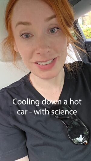 Hannah Fry Instagram - That age-old dilemma of choosing between having a non-sweltering car or baffling a passerby because you look like a fool who doesn't know how to use a door