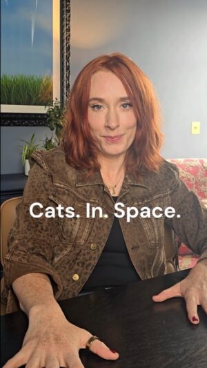 Hannah Fry Instagram - I feel like 'offended dignity' is basically a cat's standard resting face.

Sources:
Photographs of a Tumbling Cat, by M. Marey (1894)

A dynamical explanation of the falling cat phenomenon, by T.R. Kane and M.P. Scher (1969)

Bioastronautics Research Video: gov.archives.arc.68700