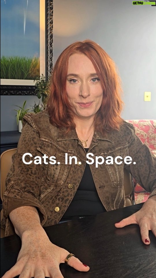 Hannah Fry - 196.5K Likes - I feel like 'offended dignity' is basically a cat's standard resting face.

Sources:
Photographs of a Tumbling Cat, by M. Marey (1894)

A dynamical explanation of the falling cat phenomenon, by T.R. Kane and M.P. Scher (1969)

Bioastronautics Research Video: gov.archives.arc.68700