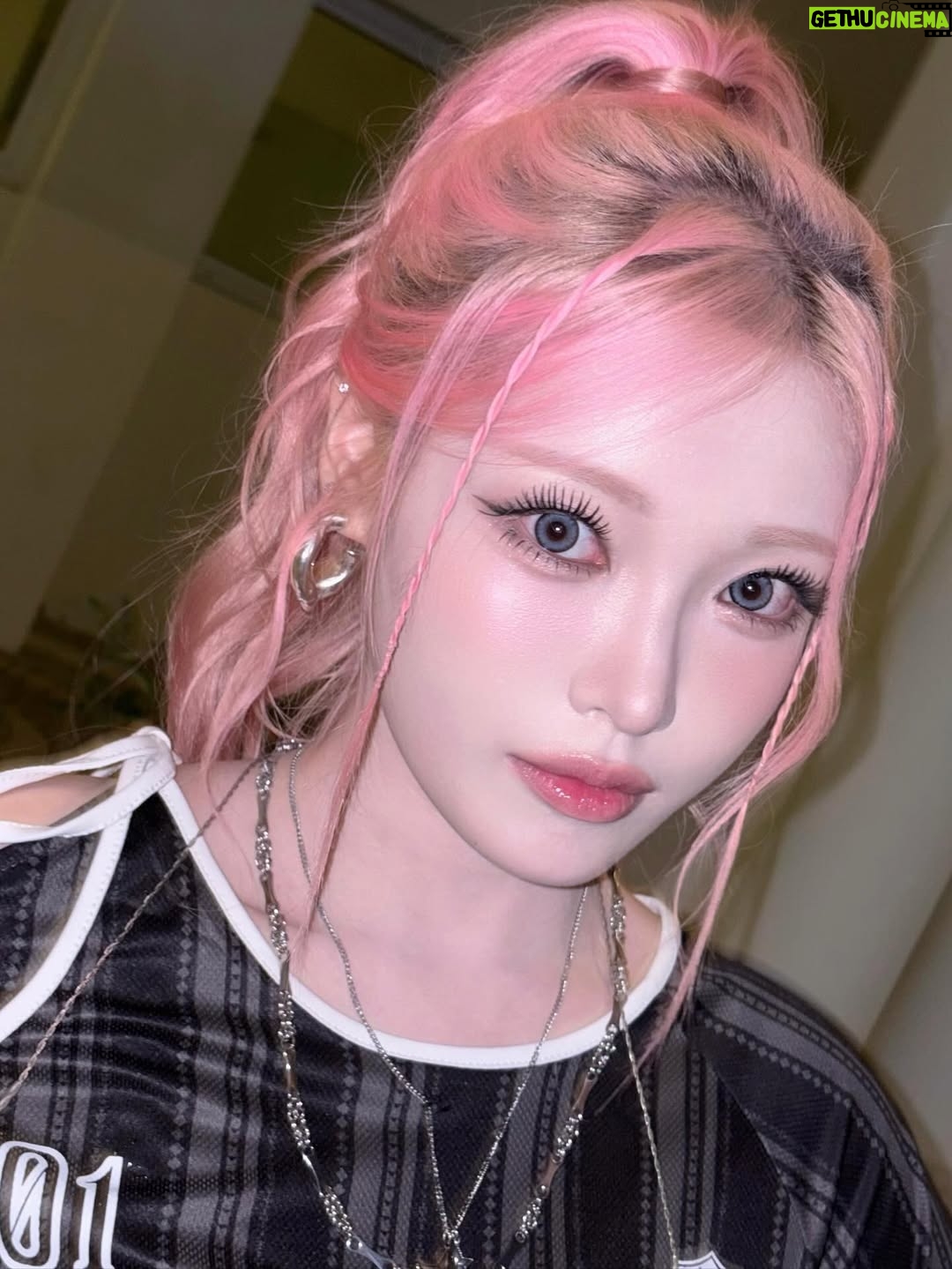 Haram - 11.5K Likes - 🐰🖤