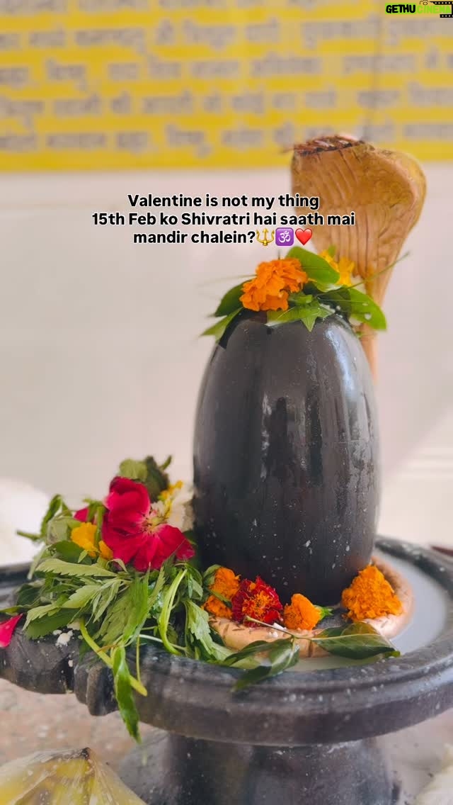 Harshita Singh Gaharwar - 429 Likes - Chalein thakur sahab?🥹🤍
.
.
.
.
.
.
#reel #rajput #fyp #explore #trending