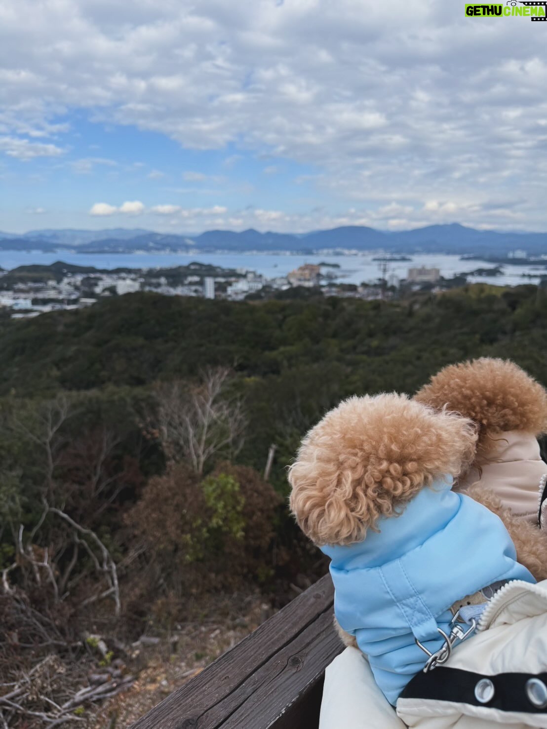 Haruka Tateishi - 4.7K Likes - 本年も大変お世話になりました🎍✨
いつも温かく見守ってくださってありがとうございます🙇‍♀️

2026年が皆様にとって素晴らしい一年になりますように🐎🔥

体調にお気をつけて、素敵な新年をお迎えくださいね🔔
来年もどうぞよろしくお願いします🫏🩵