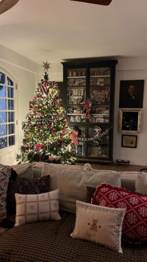 Helena Coelho Instagram - This tree has so many memories when was just me and my eldest decorating for Christmas. This year we’ve made some cute DIY and voila, Grinch @thelegendarytigerman is conquered!