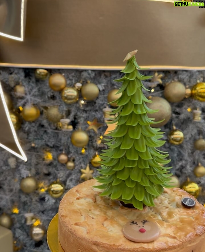 Himani Sahani - 5.6K Likes - Christmas brunch @sofitelmumbaibkc 

#christmas