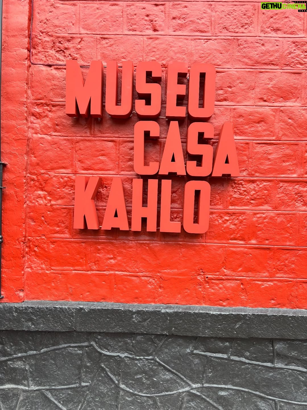 Isabelle Racicot - 1K Likes - Mexico City! 

Quelle ville fascinante…pour son histoire, son architecture, ses grands espaces verts et ses restaurants ! J’ai marché, j’ai observé et j’ai trop mangé!!!!! Du centre historique, au quartier de Polanco en passant par la maison de Frida Kahlo à Coyoacan! J’ai tout aimé. 

À refaire !!