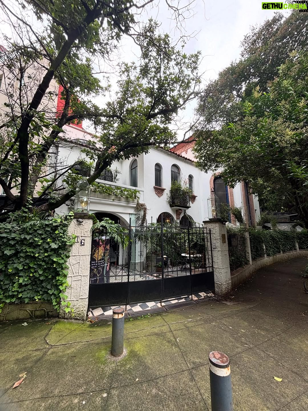 Isabelle Racicot - 1K Likes - Mexico City! 

Quelle ville fascinante…pour son histoire, son architecture, ses grands espaces verts et ses restaurants ! J’ai marché, j’ai observé et j’ai trop mangé!!!!! Du centre historique, au quartier de Polanco en passant par la maison de Frida Kahlo à Coyoacan! J’ai tout aimé. 

À refaire !!