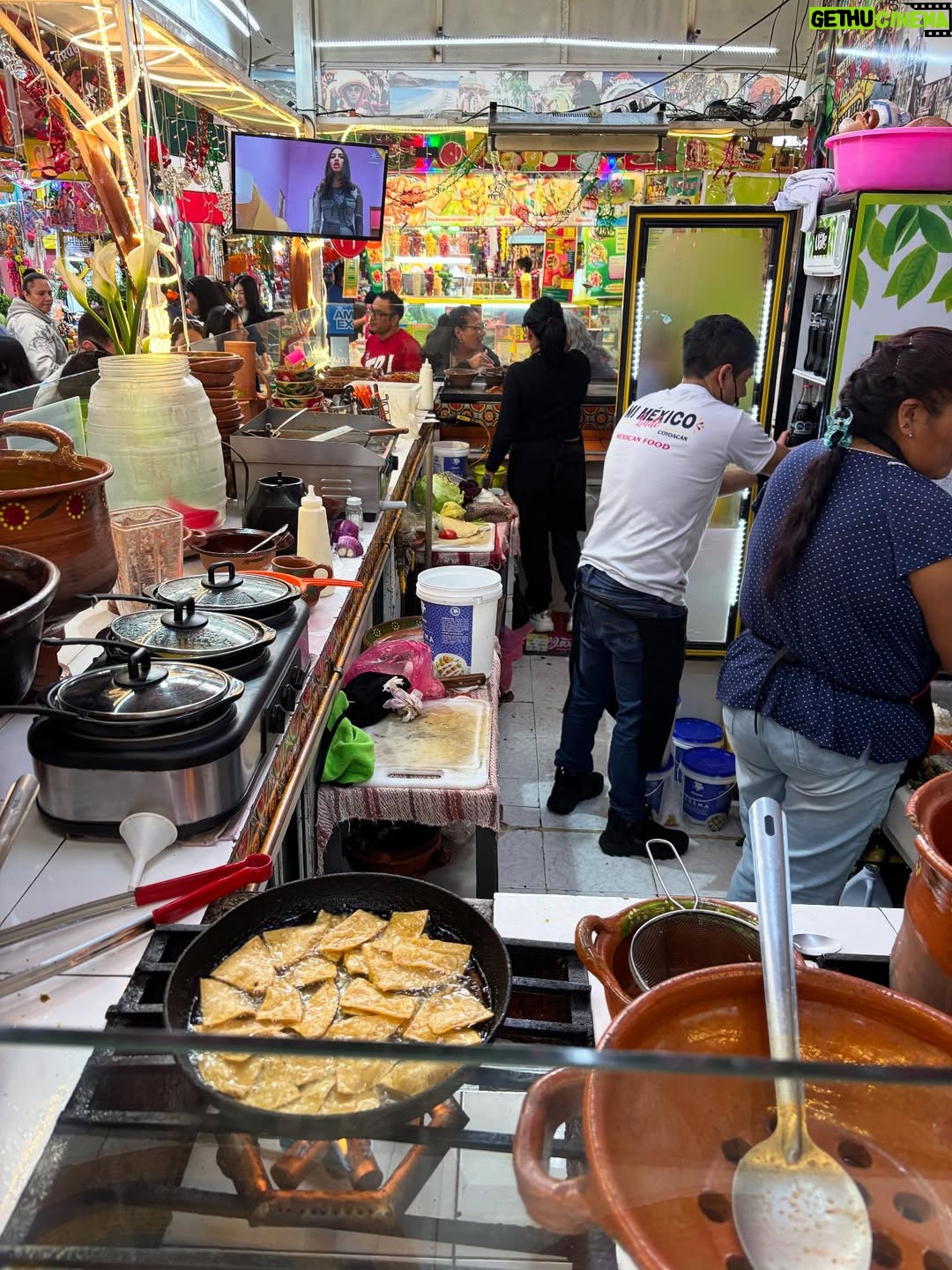 Isabelle Racicot - 1K Likes - Mexico City! 

Quelle ville fascinante…pour son histoire, son architecture, ses grands espaces verts et ses restaurants ! J’ai marché, j’ai observé et j’ai trop mangé!!!!! Du centre historique, au quartier de Polanco en passant par la maison de Frida Kahlo à Coyoacan! J’ai tout aimé. 

À refaire !!