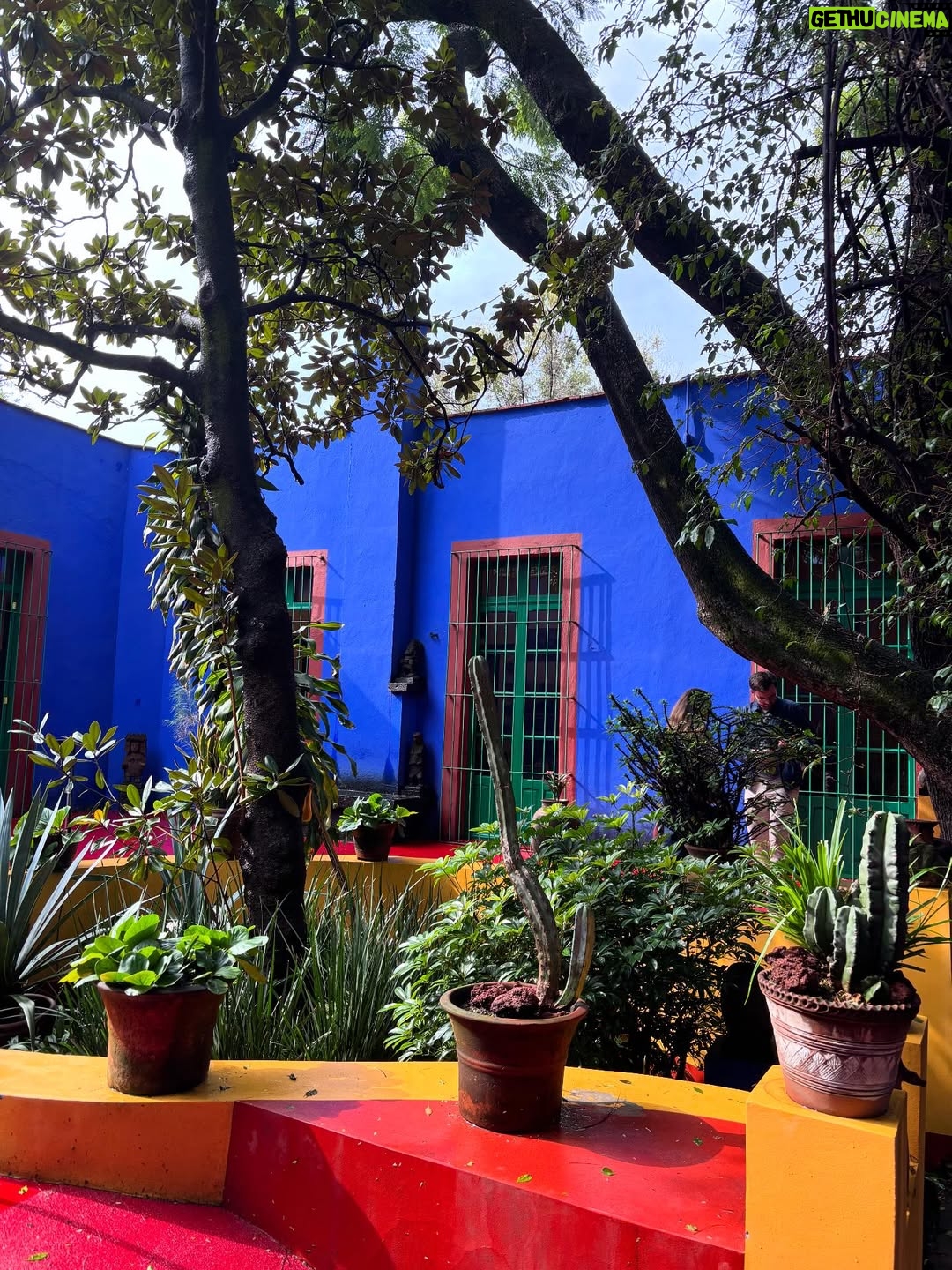Isabelle Racicot - 1K Likes - Mexico City! 

Quelle ville fascinante…pour son histoire, son architecture, ses grands espaces verts et ses restaurants ! J’ai marché, j’ai observé et j’ai trop mangé!!!!! Du centre historique, au quartier de Polanco en passant par la maison de Frida Kahlo à Coyoacan! J’ai tout aimé. 

À refaire !!