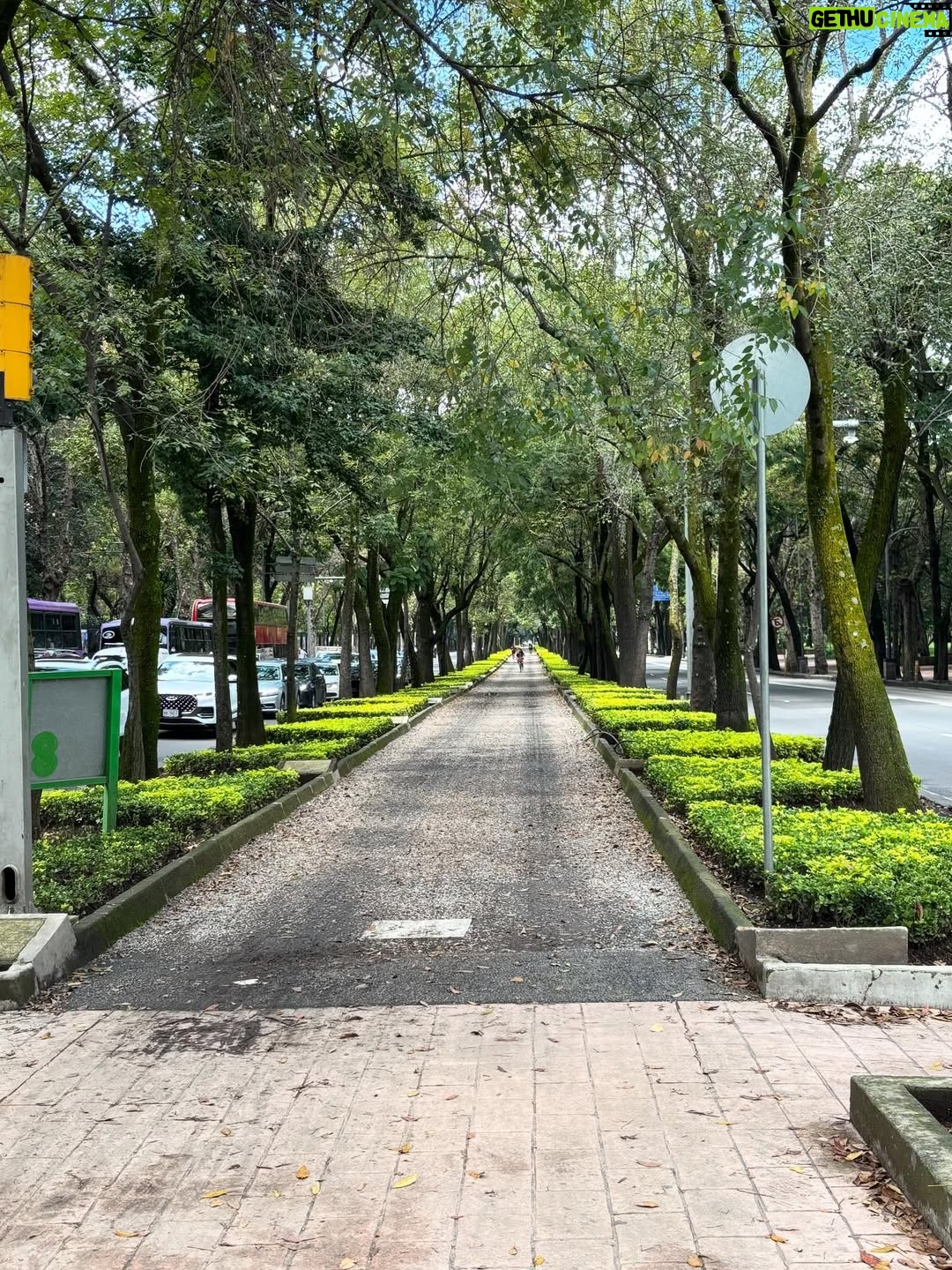 Isabelle Racicot - 1K Likes - Mexico City! 

Quelle ville fascinante…pour son histoire, son architecture, ses grands espaces verts et ses restaurants ! J’ai marché, j’ai observé et j’ai trop mangé!!!!! Du centre historique, au quartier de Polanco en passant par la maison de Frida Kahlo à Coyoacan! J’ai tout aimé. 

À refaire !!