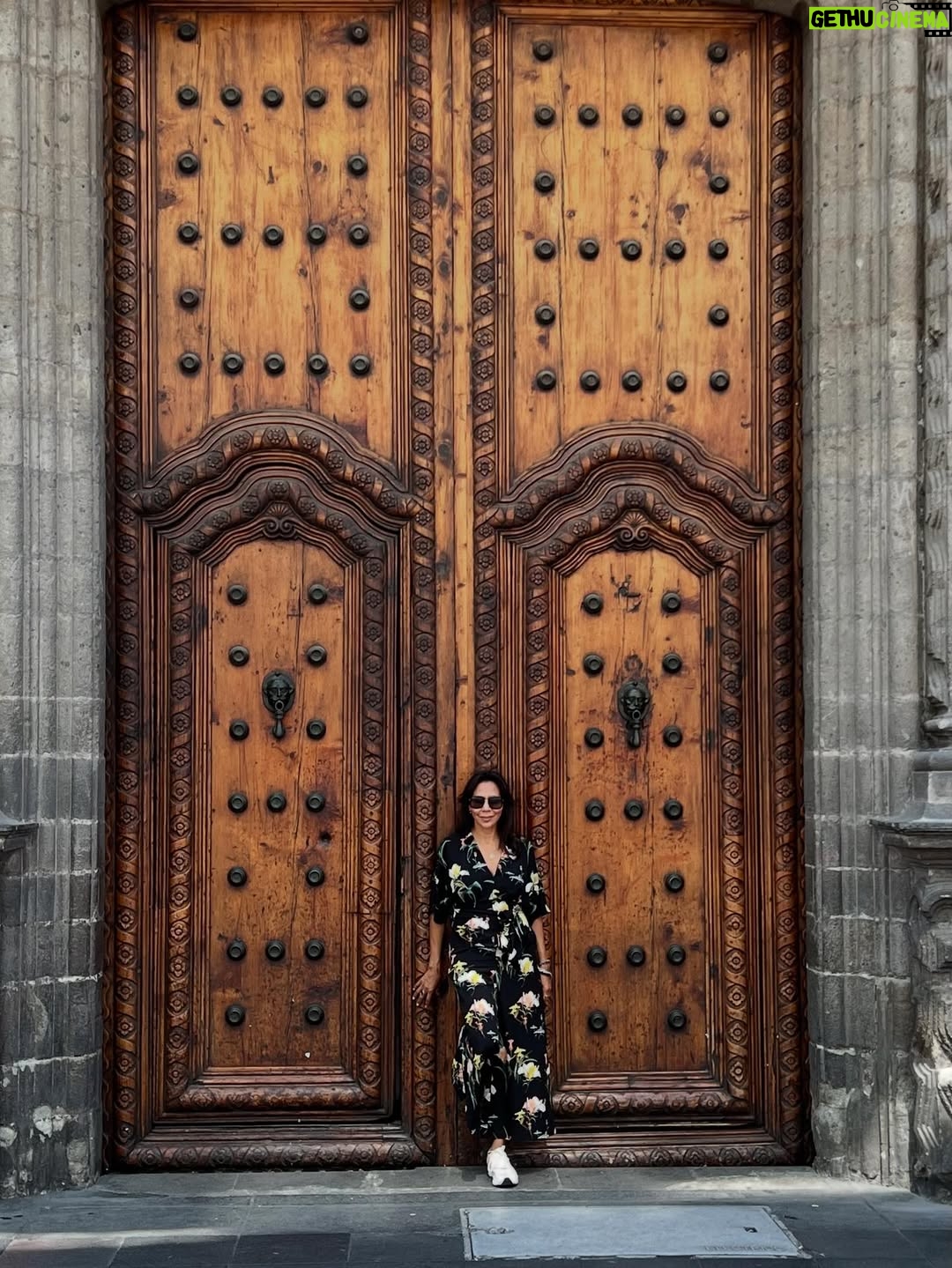Isabelle Racicot - 1K Likes - Mexico City! 

Quelle ville fascinante…pour son histoire, son architecture, ses grands espaces verts et ses restaurants ! J’ai marché, j’ai observé et j’ai trop mangé!!!!! Du centre historique, au quartier de Polanco en passant par la maison de Frida Kahlo à Coyoacan! J’ai tout aimé. 

À refaire !!