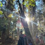 Ishika bisht