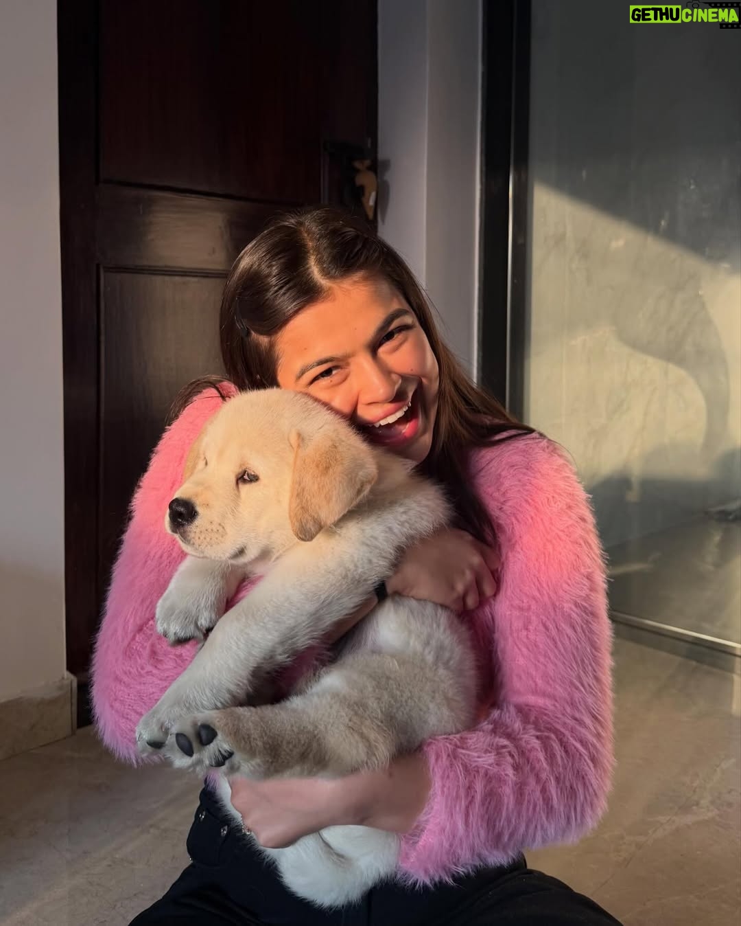 Ishita - 4.6K Likes - Everyone, meet Flurry 🤍 the newest (and cutest) member of my life.