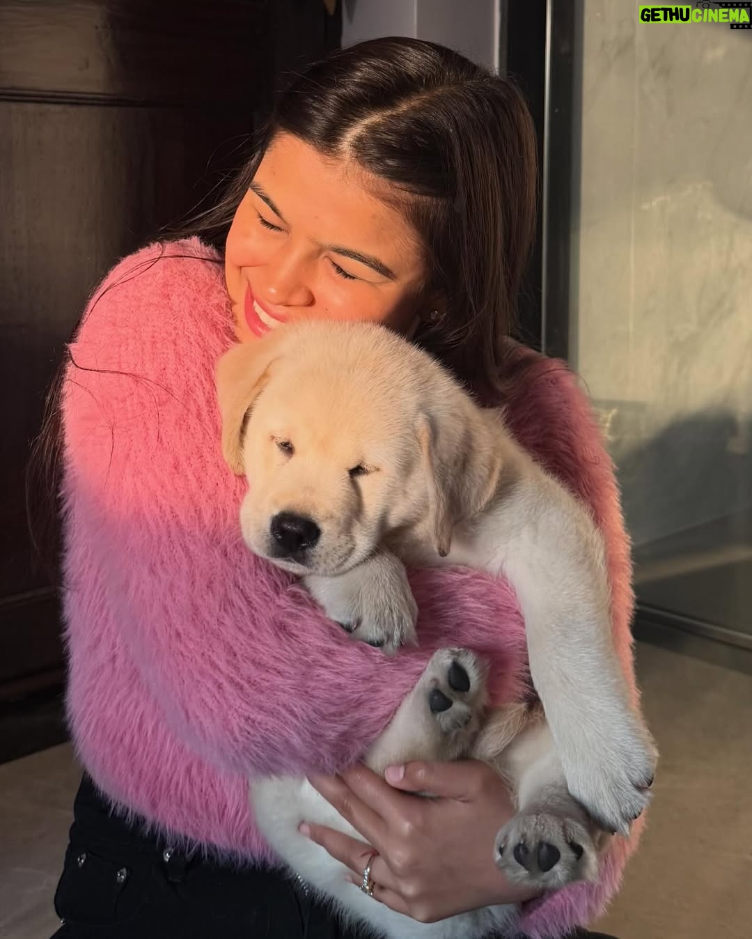 Ishita - 4.6K Likes - Everyone, meet Flurry 🤍 the newest (and cutest) member of my life.