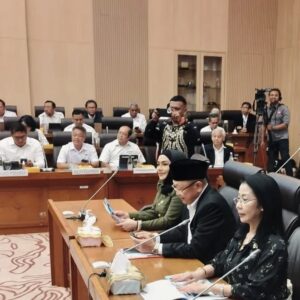 Iyeth Bustami Instagram - Rapat Dengar Pendapat komisi XII DPR RI bersama Dewan Energi Nasional dan PT PLN (Persero)