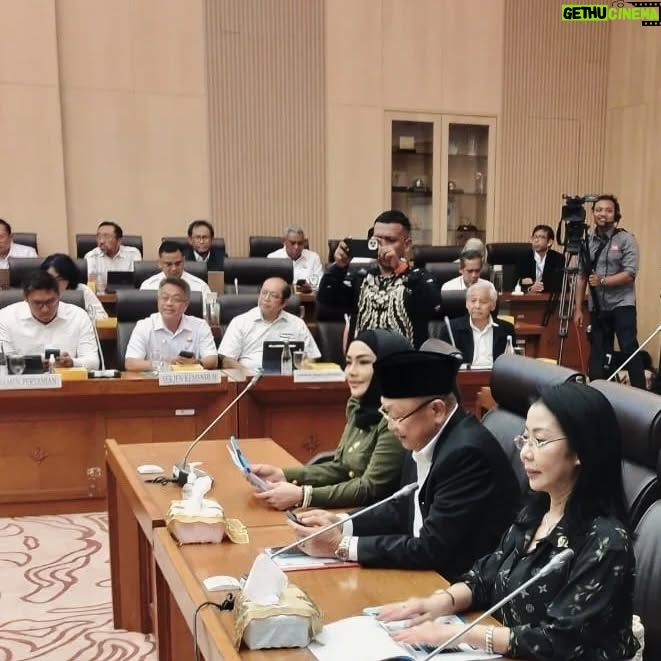 Iyeth Bustami - 489 Likes - Rapat Dengar Pendapat komisi XII DPR RI bersama Dewan Energi Nasional dan PT PLN (Persero)