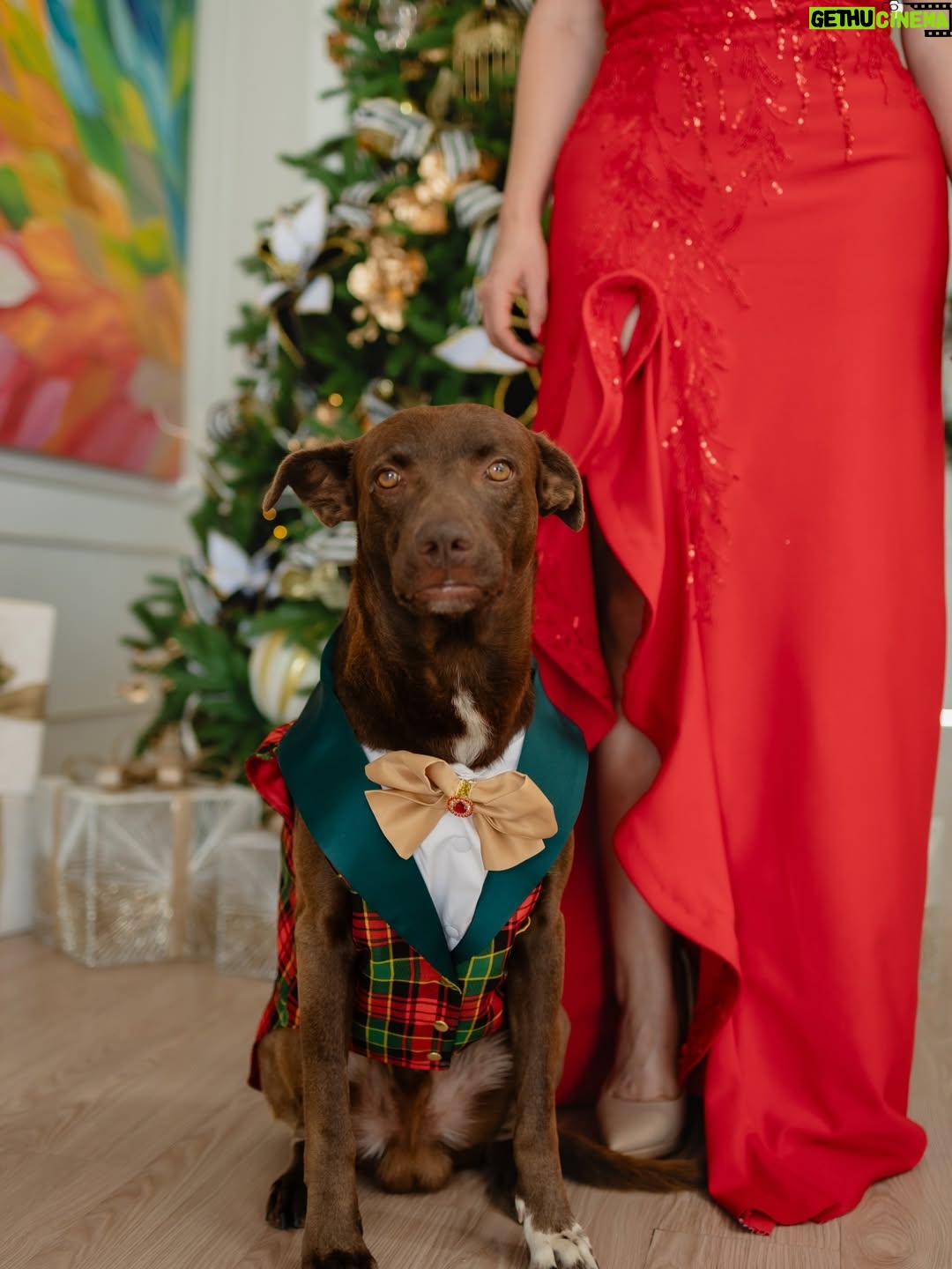 Janet Barboza - 7.9K Likes - En esta Navidad, celebremos la unión familiar, donde cada abrazo y sonrisa se complementa con el amor incondicional de nuestros fieles amigos de cuatro patas. Que la alegría de compartir momentos juntos, humanos y peluditos, llene nuestros corazones de calidez y gratitud. ¡Felices fiestas a todos! 

Nuestros vestidos rojos son del magnífico @miguel_rimachi_atelier 

Mis adornos navideños son de la casa @lagrutadelcristal 
Las fotos son de @momentosphotographyandvideo

La ropa de los bebés perrunos es de @tommyfashionpets