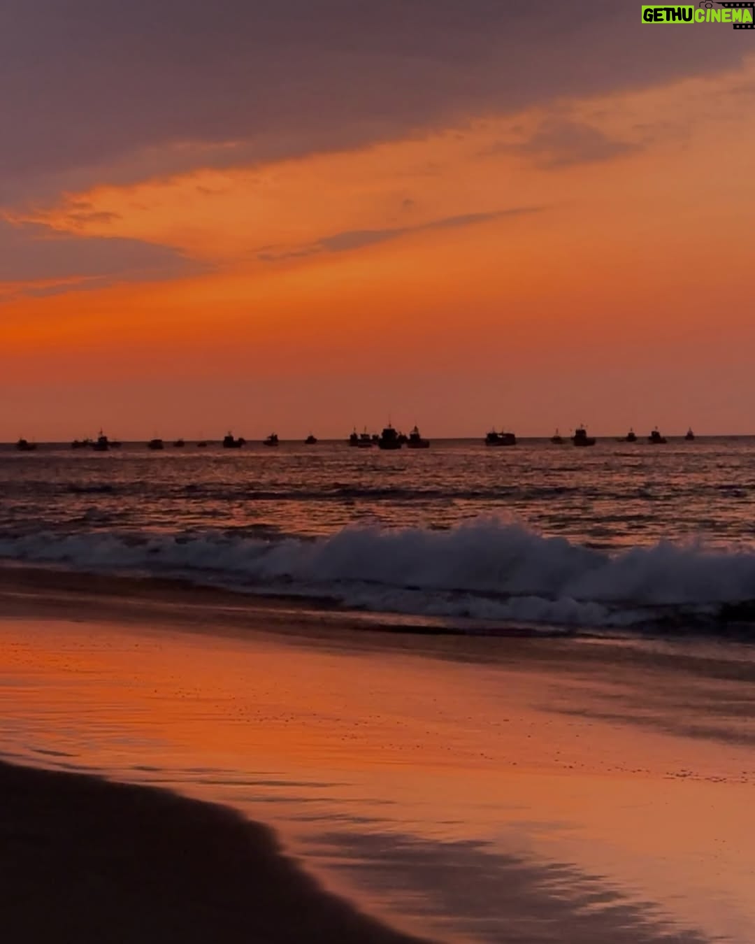 Janick Maceta - 67.9K Likes - Por más sonrisas y atardeceres bonitos este año ⪩. .⪨✧.*♡⋅‧₊˚ ⋅⏾ ◡̈