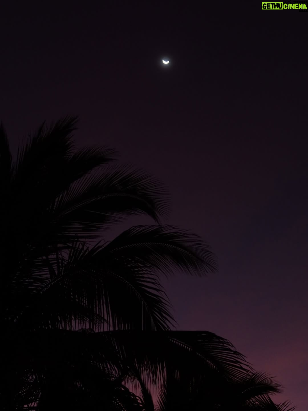 Janick Maceta - 67.9K Likes - Por más sonrisas y atardeceres bonitos este año ⪩. .⪨✧.*♡⋅‧₊˚ ⋅⏾ ◡̈