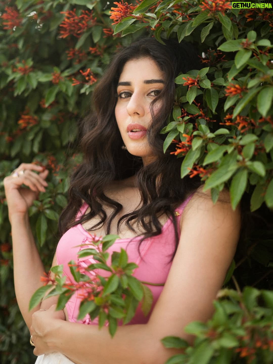 Jasmin Bajwa - 50.3K Likes - Where they were fragments, I am wholeness.
Where they were noise, I am home.
You don’t need to look back to measure love,
because everything you searched for—
now stands in front of you, complete.🌸💕💖🎀🌷🧞‍♀️