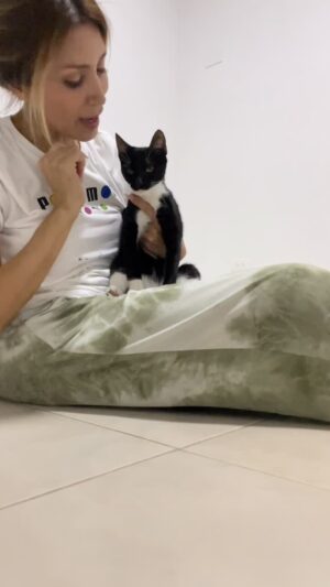 Jasú Montero Instagram - Tengo 2 🙀 🐈‍⬛ son tremendas 🤪🤣
Con cuál se quedan ? 
1 Oreo
2 Nutella 

Los Leo ❤️