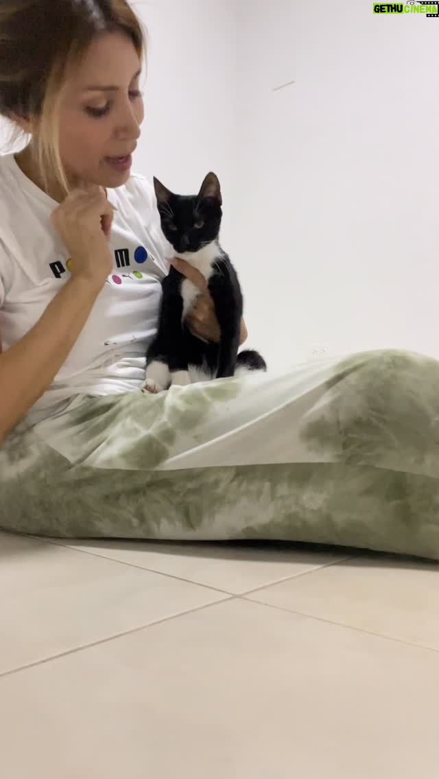 Jasú Montero - 702 Likes - Tengo 2 🙀 🐈‍⬛ son tremendas 🤪🤣
Con cuál se quedan ? 
1 Oreo
2 Nutella 

Los Leo ❤️