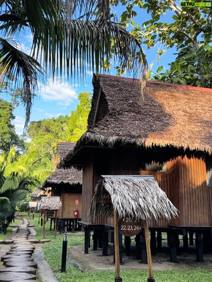 Jazmín Pinedo - 16.7K Likes - Así recibimos el 2026, rodeados de naturaleza y purita energía! 🍃✨🌴🤍