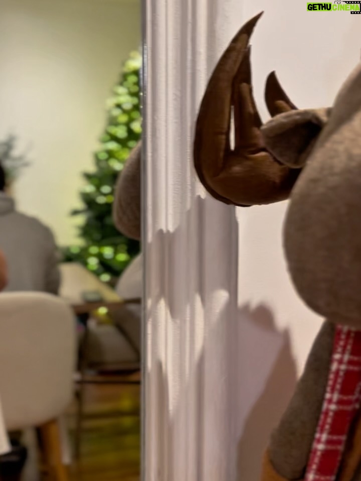 Jazmín Pinedo - 4.6K Likes - Nada que pedir, todo que agradecer. 
Feliz Navidad! 🙏🏻♥️💫🎄