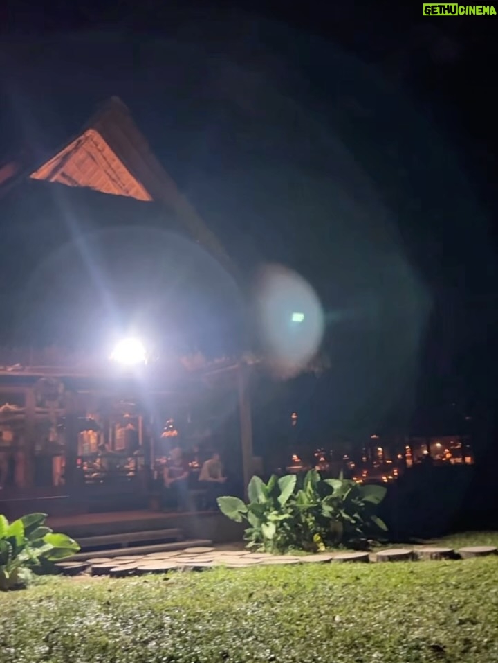 Jazmín Pinedo - 16.7K Likes - Así recibimos el 2026, rodeados de naturaleza y purita energía! 🍃✨🌴🤍