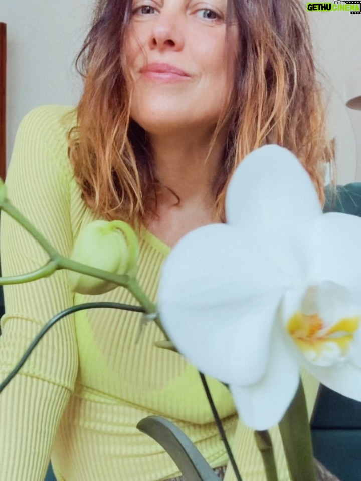 Jazmín Stuart - 2.4K Likes - 1,2,3,4: Una señora orgullosa de sus plantas.
5: La misma señora trabajando para estar orgullosa de sus plantas.