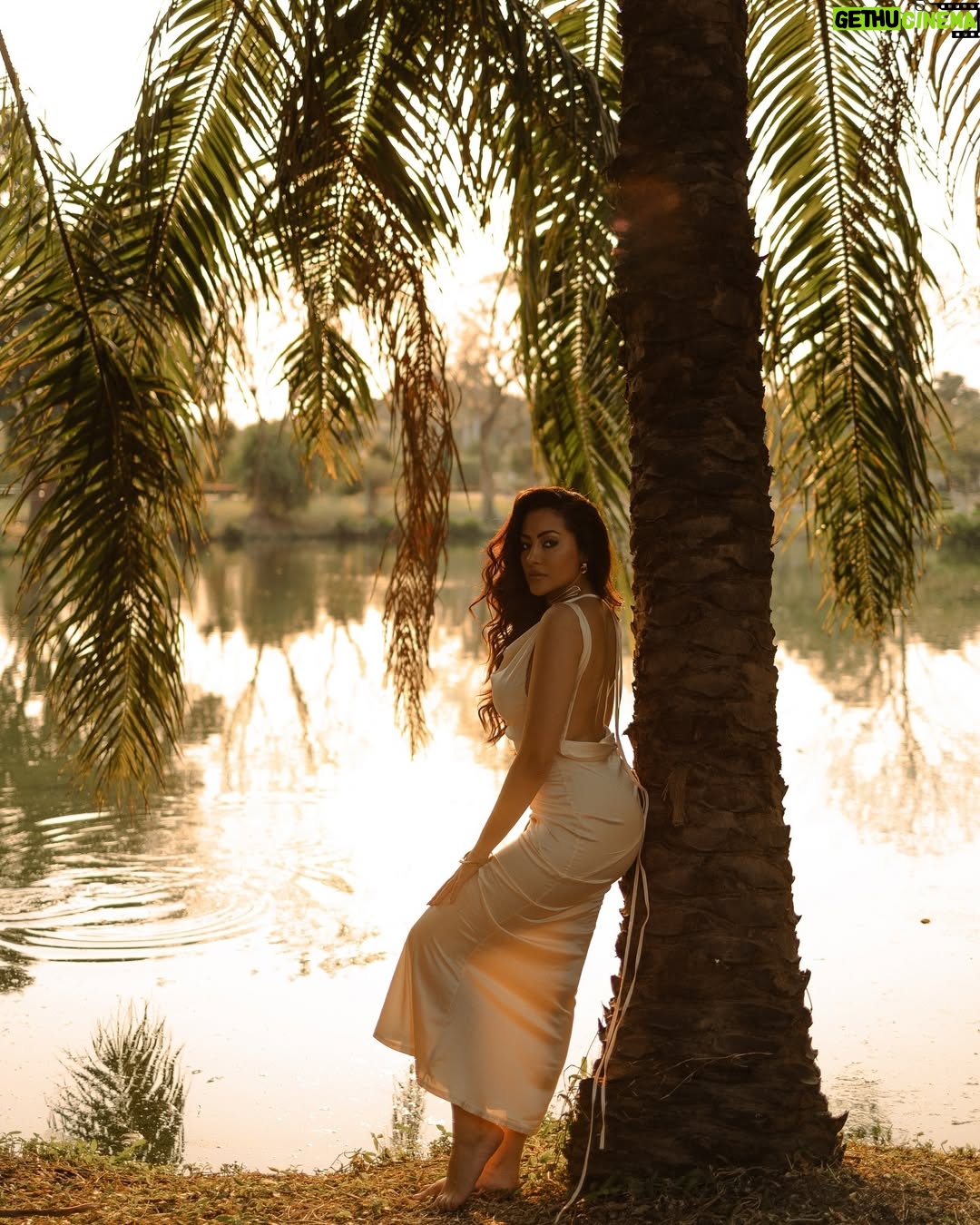 Jeniffer Piccinato - 7.4K Likes - “I’ve learned that I can be both , wild and holy. “
.
.
.

#internationalwomensday
Photo by @olyamuradova_ 
.
.
.
.
#sunkissed #goldengoddess #photoshoot #jenifferpiccinato