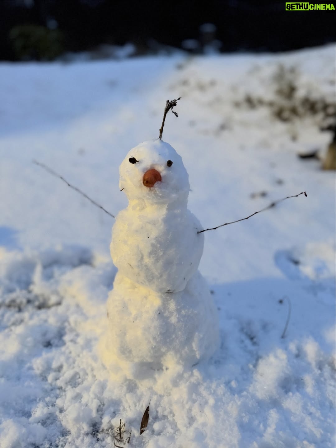 Jenovéfa Boková - 8.6K Likes - ZIMA ❄️ 

Zklidnění, ale taky někdy šedo. Člověk se musí zase naučit zpomalit a nevyčítat si to 🙏🏻