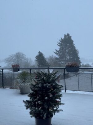 Jenovéfa Boková Instagram - ZIMA ❄️ 

Zklidnění, ale taky někdy šedo. Člověk se musí zase naučit zpomalit a nevyčítat si to 🙏🏻