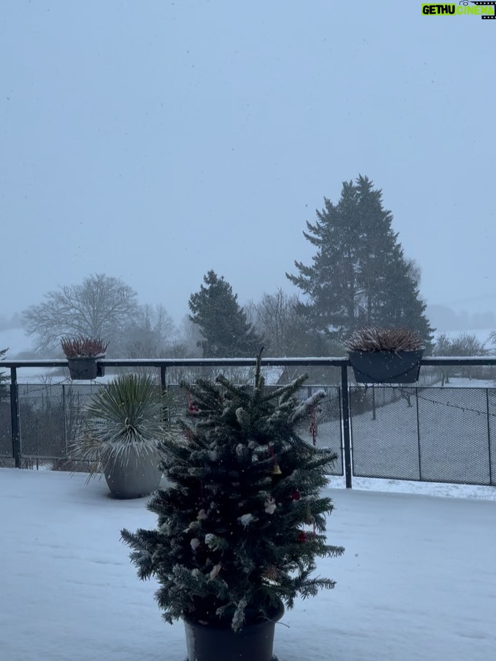 Jenovéfa Boková - 8.6K Likes - ZIMA ❄️ 

Zklidnění, ale taky někdy šedo. Člověk se musí zase naučit zpomalit a nevyčítat si to 🙏🏻