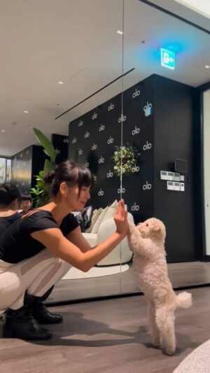 Jeong Hye-young Instagram - 🤎
내사랑 레오