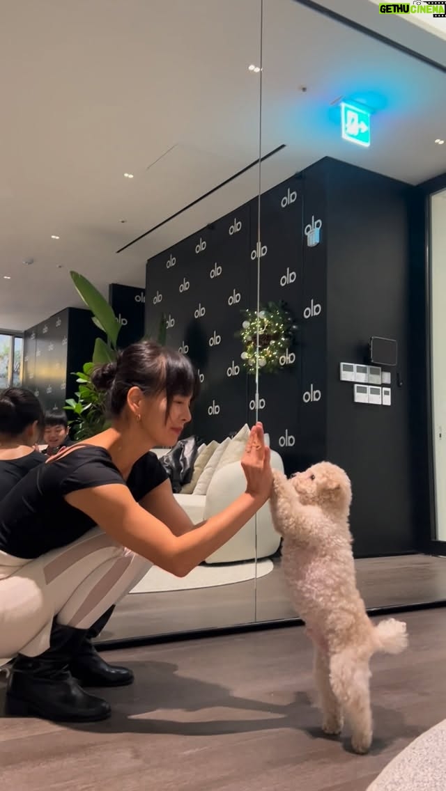 Jeong Hye-young - 3K Likes - 🤎
내사랑 레오
