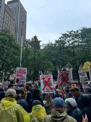 Jessica Keenan Wynn Instagram - A rainy, peaceful, POWERFUL NO KINGS protest in NYC today! I love our city of resistance!