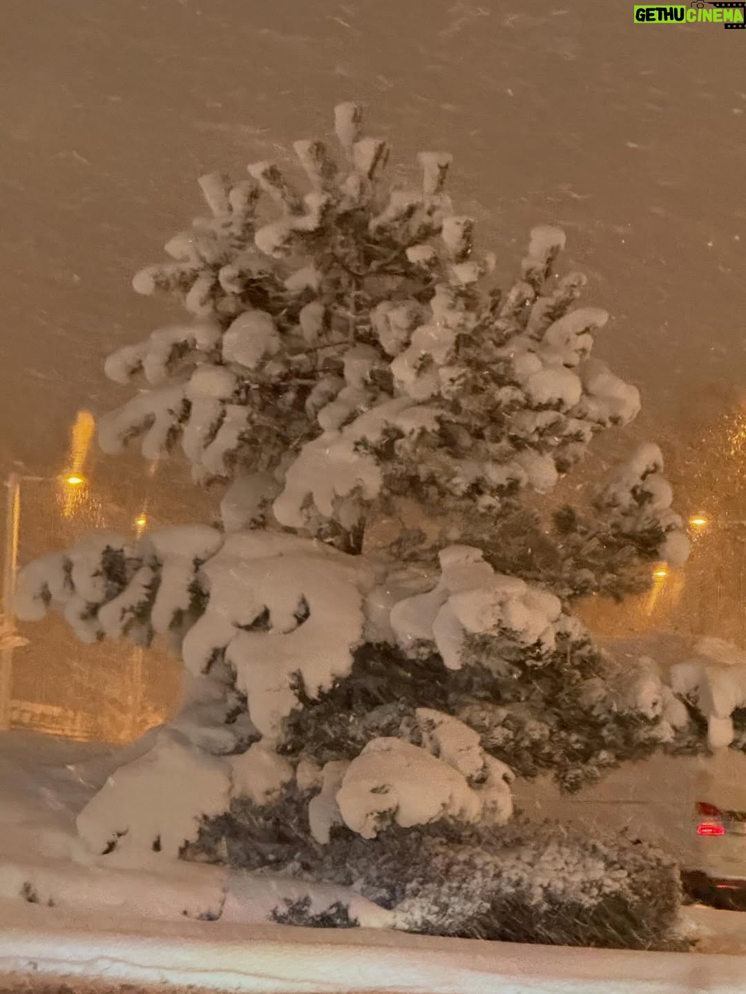 Jill Johnson - 5.1K Likes - Jämtland!! Kolla oss!! Skåne levererar🤩⛄️❄️❄️❄️❄️❄️❄️❄️❄️❄️❄️😂

#älskarförstasnön 
#skånevinter 
#kontraster 
#jämtlandimitthjärta
#Skåne♥️💛♥️