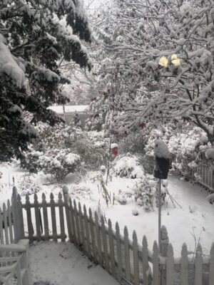 Jill Wine-Banks Instagram - It’s snowing in Chicago. Perfect time to listen to #SistersInLaw! 
LINK: https://www.politicon.com/podcast-episodes/unlawful-orders/