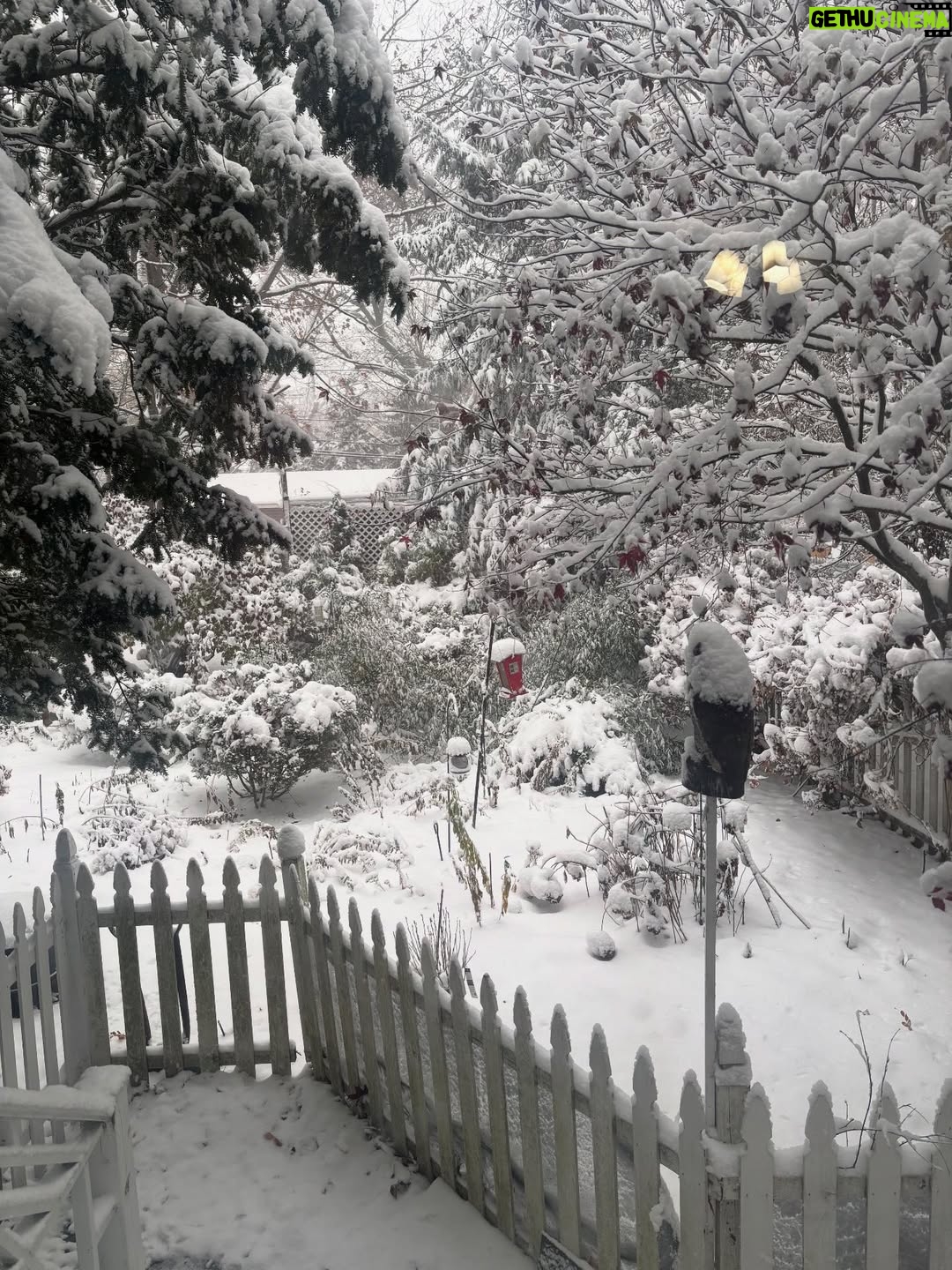 Jill Wine-Banks - 651 Likes - It’s snowing in Chicago. Perfect time to listen to #SistersInLaw! 
LINK: https://www.politicon.com/podcast-episodes/unlawful-orders/