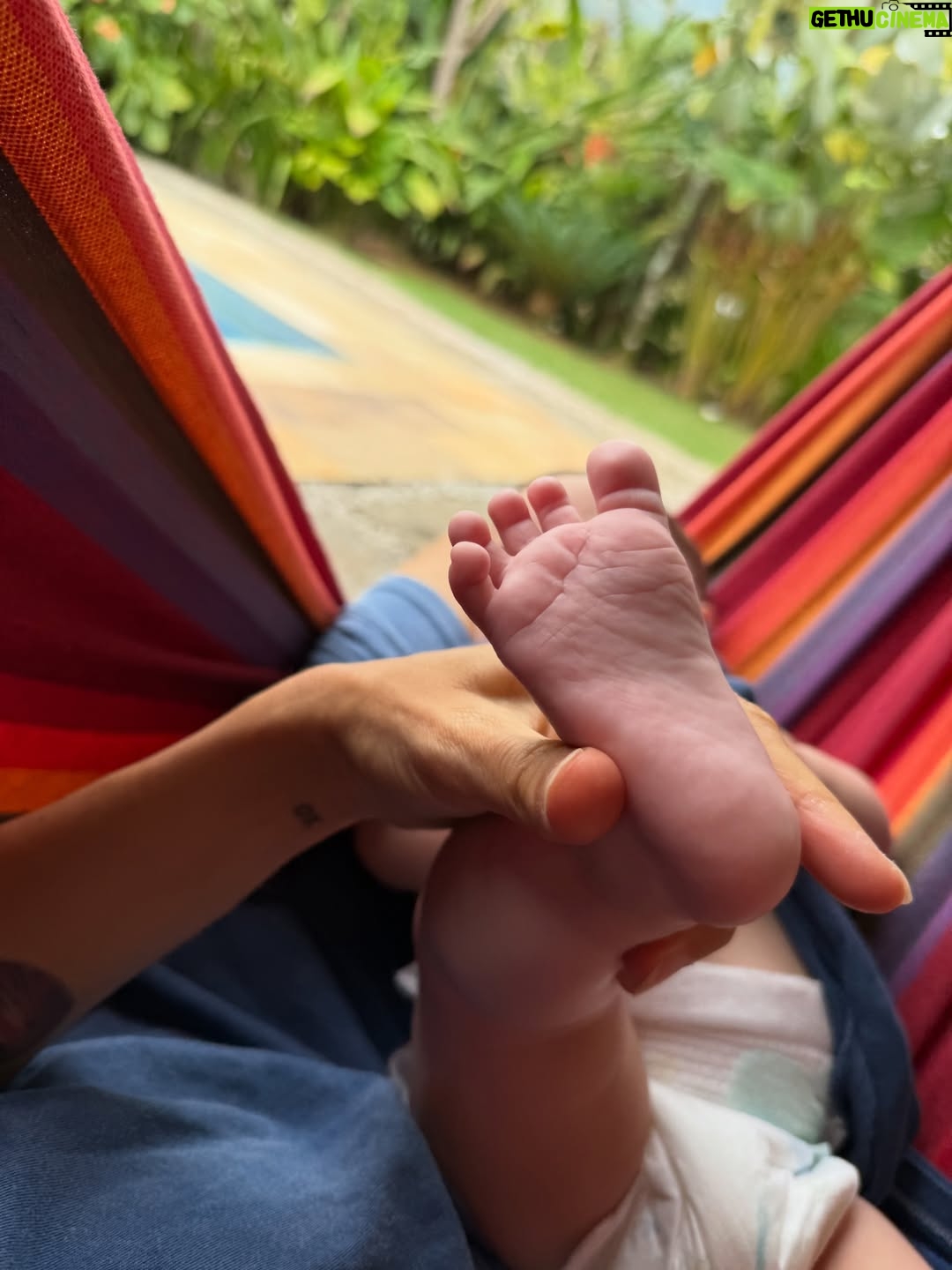 Jimena Barón - 298.6K Likes - La familia. Los colores. Un arcoíris en casa. Una mariposa. Una señal. Frutas tropicales. Olas. Surf. Luna llena en Géminis. Flores exóticas. Arena. Mar. Olor a bebé.

Gracias. Gracias. Gracias. Qué felicidad!

💙🌊✨

@apsurftrips @nachomigues @paraisofotosurf