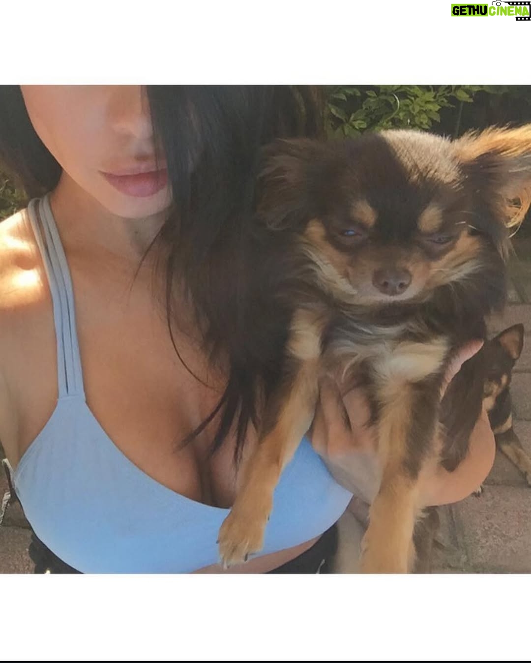Jimena Sánchez - 3 Likes - #2016 estuvo bien loco con sus fotos cuadradas ( las tuve que modificar) 
Empezaba a escribir una historia con el wrestling, mi primer Super Bowl, tenía a mi Panchita, me veía muy perra más delgada, pero creo no era tan feliz. 
Puedo decir que la vida se puso mejor, Dios no miente. 🫰🏾