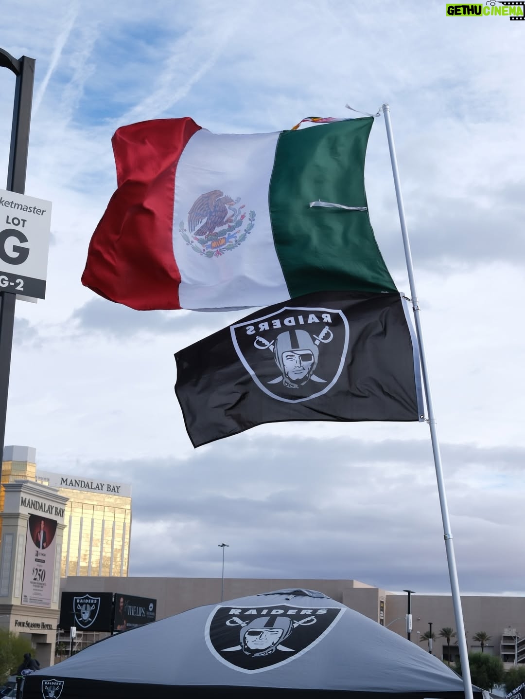 Jimena Sánchez - 3 Likes - A dose of Vegas!
I ♡ you @raiders