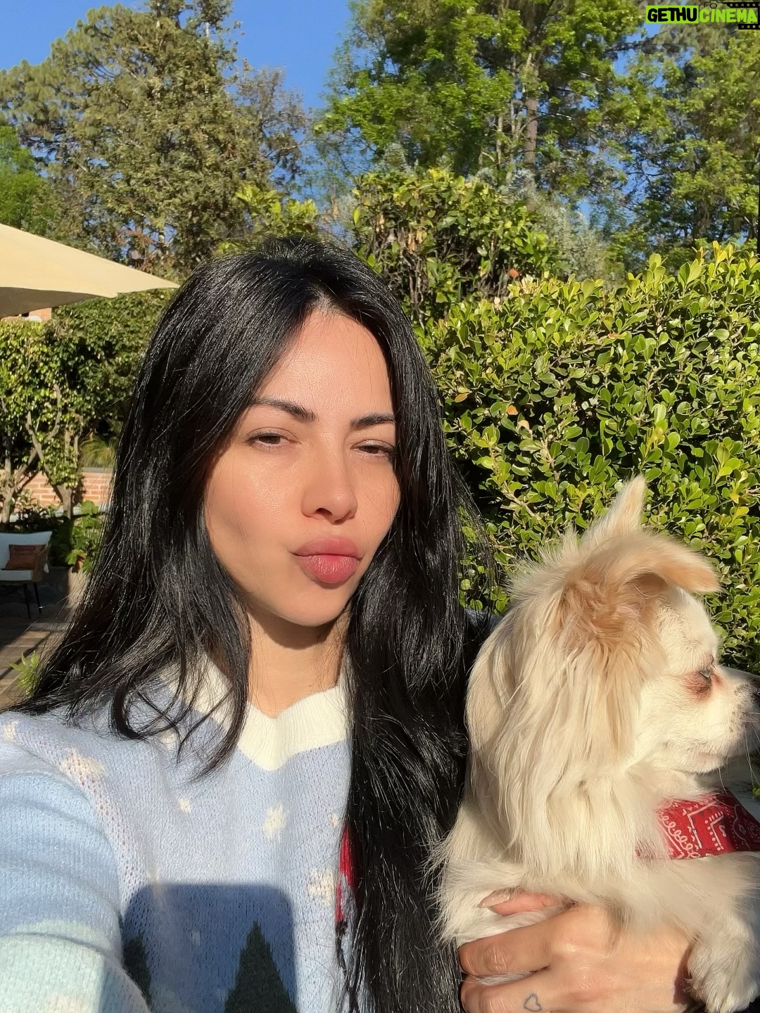 Jimena Sánchez - 3 Likes - Diciembre 🎄
