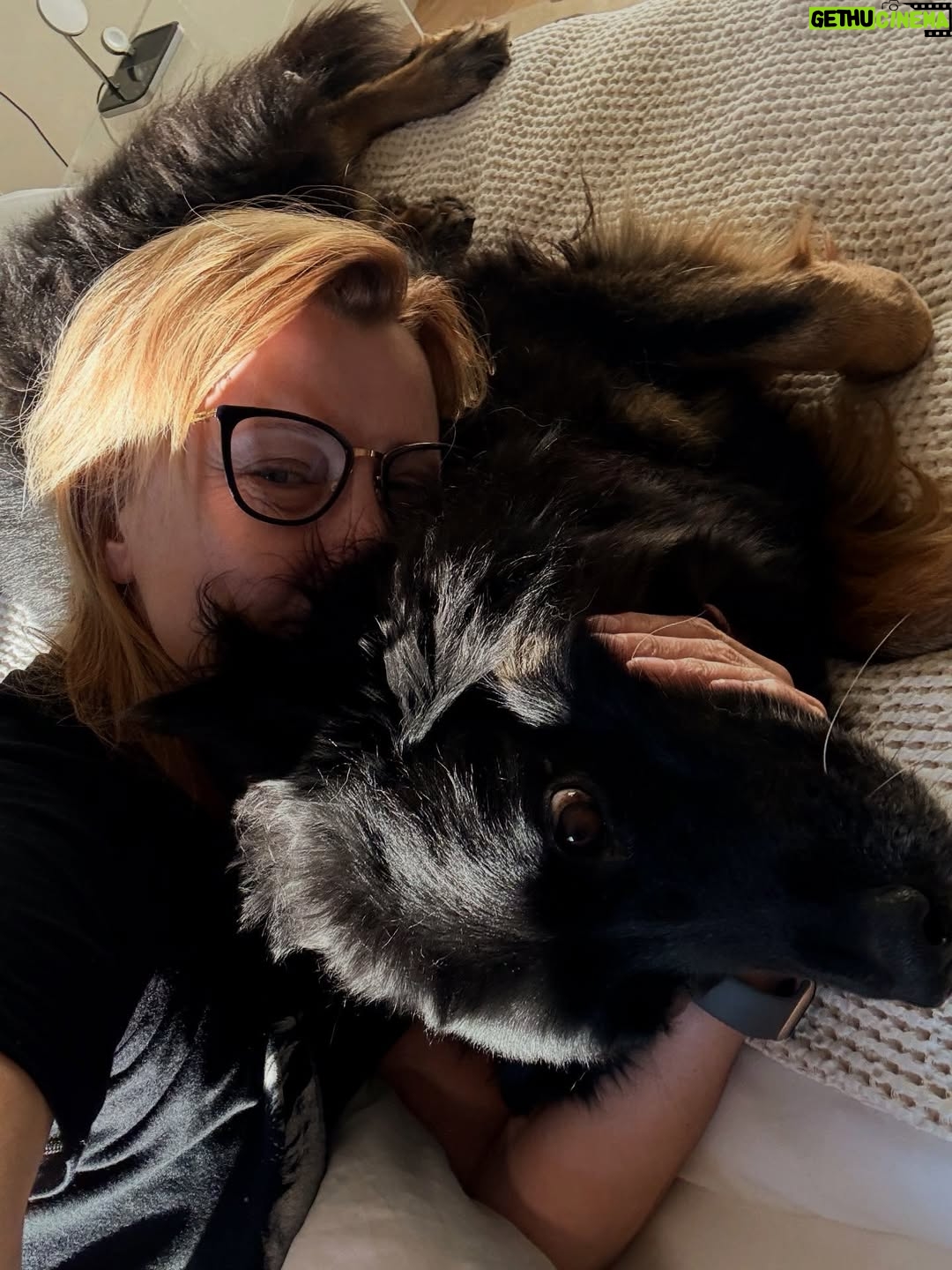 Jitka Schneiderová - 1.5K Likes - Tvůj PES neslaví. Tvůj pes PŘEŽÍVÁ! Tak zítra prosím bez petard, miláčci! 🙏🏻 Vteřinová,  v tomto případě hloupá, lidská radost ničí duše zvířat a zabíjí! Víme, ne?!! 😘 Bí ❤️ 🖤  @behproutulky 🤍