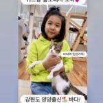 Jo Yoon-hee