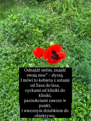 Joanna Moro Instagram - Ostatnio dużo myślę o tym, jak wygląda “kobieca wolność” we współczesnym świecie. Szczególnie , że wychowuje córkę. 
Jak bardzo próbujemy wracać do siebie… a jak często wracamy tylko do nowych oczekiwań, które udają, że są nasze.
Patrzę na kobiece retreaty, kręgi, warsztaty — te wszystkie przestrzenie, które mają nas uwalniać — i widzę, że nawet tam wciąż działa ten sam stary mechanizm: bądź sobą, ale wyglądaj tak, rób tak, jak świat lubi najbardziej.

A ja pytam: kiedy w końcu przestaniemy się mieścić, dopasowywać, poprawiać?
Kiedy zaczniemy naprawdę żyć we własnej skórze, a nie w cudzych wyobrażeniach?

To jest nasz czas.
Czas, żeby zobaczyć siebie naprawdę.
Czas, żeby odrzucić role, które ktoś nam kiedyś napisał.
I w końcu — naprawdę w końcu — uwierzyć, że zasługujemy na szacunek, równość, przestrzeń i docenienie.
Nie za wygląd.
Nie za grzeczność.
Za to, kim jesteśmy.

Z serca.

Polecam lekturę — tak dla otwarcia oczu, dla poruszenia serca i dla odwagi, żeby zobaczyć siebie naprawdę.
@nat_waloch „Bo nie”