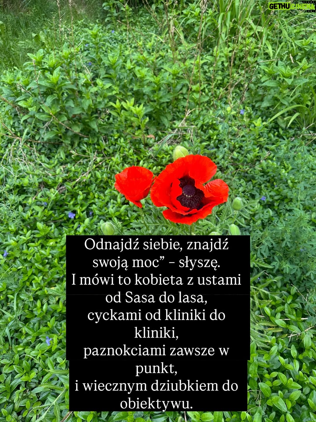Joanna Moro - 606 Likes - Ostatnio dużo myślę o tym, jak wygląda “kobieca wolność” we współczesnym świecie. Szczególnie , że wychowuje córkę. 
Jak bardzo próbujemy wracać do siebie… a jak często wracamy tylko do nowych oczekiwań, które udają, że są nasze.
Patrzę na kobiece retreaty, kręgi, warsztaty — te wszystkie przestrzenie, które mają nas uwalniać — i widzę, że nawet tam wciąż działa ten sam stary mechanizm: bądź sobą, ale wyglądaj tak, rób tak, jak świat lubi najbardziej.

A ja pytam: kiedy w końcu przestaniemy się mieścić, dopasowywać, poprawiać?
Kiedy zaczniemy naprawdę żyć we własnej skórze, a nie w cudzych wyobrażeniach?

To jest nasz czas.
Czas, żeby zobaczyć siebie naprawdę.
Czas, żeby odrzucić role, które ktoś nam kiedyś napisał.
I w końcu — naprawdę w końcu — uwierzyć, że zasługujemy na szacunek, równość, przestrzeń i docenienie.
Nie za wygląd.
Nie za grzeczność.
Za to, kim jesteśmy.

Z serca.

Polecam lekturę — tak dla otwarcia oczu, dla poruszenia serca i dla odwagi, żeby zobaczyć siebie naprawdę.
@nat_waloch „Bo nie”